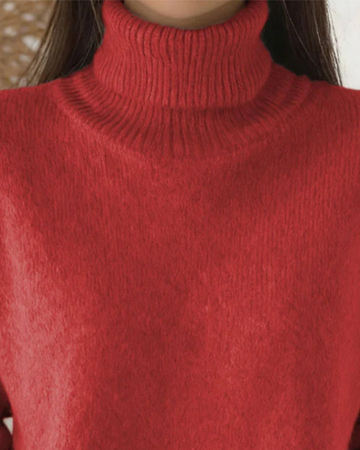 Pull Col Roulé Style Décontracté